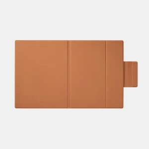 BOOX Go 10.3 Magnetic Case